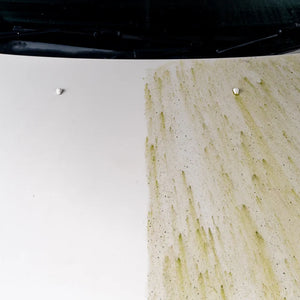 Dynamite Traffic Film Remover Removedor de Filme de Estrada 1L