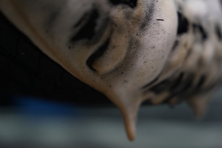 VONIXX Delet 500ml – Limpador de Alta Performance para Pneus e Borrachas