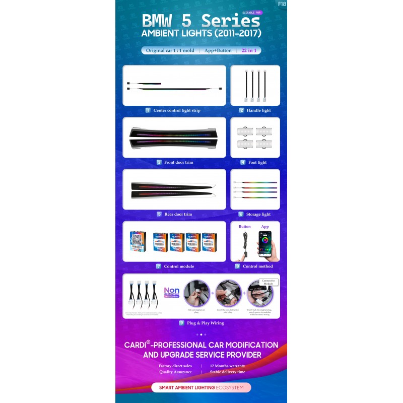 Iluminação Ambiente BMW Serie 5 F10 F11 2010-2016